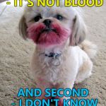 Doggo Week March 10-16 a Blaze_the_Blaziken and 1forpeace extravaganza... | FIRST OF ALL - IT'S NOT BLOOD; AND SECOND - I DON'T KNOW WHERE THE CAT IS | image tagged in shih tzu lipstick,memes,doggo week,dogs,animals | made w/ Imgflip meme maker