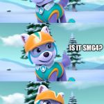 PAW Patrol Bad Pun Everest  | WHO’S YOUR FAVORITE YOUTUBER; IS IT SMG4? TELL ME SERIOUSLY | image tagged in paw patrol bad pun everest | made w/ Imgflip meme maker