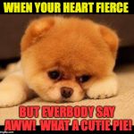 You wouldn't like me when I'm angry. You'd wuv me. | WHEN YOUR HEART FIERCE; BUT EVERBODY SAY AWW!  WHAT A CUTIE PIE! | image tagged in sad dog,memes,cutie pie,fierce | made w/ Imgflip meme maker