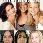Friends | Ladies, I present the sweet bird of youth vs. THE WALL ! | image tagged in friends | made w/ Imgflip meme maker