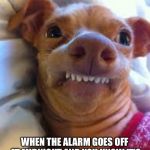 For real | WHEN THE ALARM GOES OFF AT MIDNIGHT AND YOU KNOW IT’S NOT JUST SOME HORRIBLE MISTAKE | image tagged in teeth dog | made w/ Imgflip meme maker