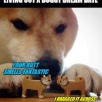 Dream Date (Doggo Week March 10-16 a Blaze_the_Blaziken and 1forpeace Event) | LIVING OUT A DOGGY DREAM DATE; YOUR BUTT SMELLS FANTASTIC; I DRAGGED IT ACROSS THE CARPET THIS MORNING | image tagged in dog now kiss,memes,dogs,butt sniffing,doggo week,funny | made w/ Imgflip meme maker