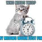 Kitty with alarm clock | WHO NEEDS THIS? MY MEOWS WORK JUST FINE | image tagged in kitty with alarm clock | made w/ Imgflip meme maker