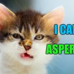 Aspergers cat | I CAN HAS; ASPERGERS | image tagged in i can has aspergers,aspergers cat,memes,spectrum | made w/ Imgflip meme maker