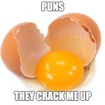 broken egg | PUNS; THEY CRACK ME UP | image tagged in broken egg | made w/ Imgflip meme maker