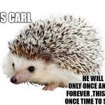 this is carl
 | THIS IS CARL; HE WILL BE HERE ONLY ONCE AND THEN GONE FOREVER ,THIS IS YOUR ONLY ONCE TIME TO SAY HI TO CARL | image tagged in carl the hedgehog,carl | made w/ Imgflip meme maker