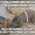 When Nelly did not want to perform | NELLY THE ELEPHANT WAS ON STAGE, NELLY THE ELEPHANT BROKE IN A RAGE; NELLY THE ELEPHANT GOT SENT BACK, NELLY THE ELEPHANT GOT A WHACK! | image tagged in elephant being beaten,memes,baby elephant,elephant | made w/ Imgflip meme maker