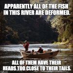 Fly Fishing  Guy | APPARENTLY ALL OF THE FISH IN THIS RIVER ARE DEFORMED. ALL OF THEM HAVE THEIR HEADS TOO CLOSE TO THEIR TAILS. | image tagged in fly fishing guy | made w/ Imgflip meme maker