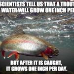 Trout | SCIENTISTS TELL US THAT A TROUT IN THE WATER WILL GROW ONE INCH PER YEAR. BUT AFTER IT IS CAUGHT, IT GROWS ONE INCH PER DAY. | image tagged in trout | made w/ Imgflip meme maker
