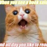 Have A Cat Meme! | When you see a book sale; And all day you like to read | image tagged in have a cat meme | made w/ Imgflip meme maker