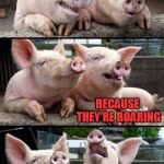 Pig Jokes | DO YOU KNOW WHY I DON'T LIKE PIG PUNS? BECAUSE THEY'RE BOARING | image tagged in pig puns,pigs,pig,jokes,boar,laugh | made w/ Imgflip meme maker