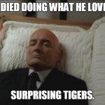 Memes, Coffin, Dead Man | HE DIED DOING WHAT HE LOVED, SURPRISING TIGERS. | image tagged in memes coffin dead man | made w/ Imgflip meme maker