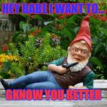 Lol | HEY BABE I WANT TO... GKNOW YOU BETTER | image tagged in gnomes | made w/ Imgflip meme maker