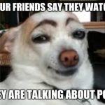 Surprized Pup | WHEN YOUR FRIENDS SAY THEY WATCH ANIME; BUT THEY ARE TALKING ABOUT POKEMON | image tagged in surprized pup | made w/ Imgflip meme maker
