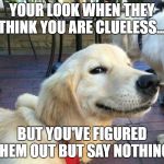 good boy dog | YOUR LOOK WHEN THEY THINK YOU ARE CLUELESS.... BUT YOU'VE FIGURED THEM OUT BUT SAY NOTHING! | image tagged in good boy dog | made w/ Imgflip meme maker