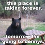 some places could annoy a bear with their poor service. | this place is taking forever. tomorrow I'm going to dennys. | image tagged in bear at picnic table,fast food,meme this,fur coat | made w/ Imgflip meme maker