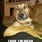 The Most Interesting Dog In The World | LOOK, I'M WEAK. DOGGO WEEK IT IS. | image tagged in the most interesting dog in the world,doggo week | made w/ Imgflip meme maker