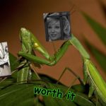 Mantis Cannibal | worth it | image tagged in mantis cannibal | made w/ Imgflip meme maker