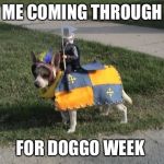 Getting down for Doggo Week! | ME COMING THROUGH; FOR DOGGO WEEK | image tagged in dog calvary,doggo week,memes,funny,animals,dogs | made w/ Imgflip meme maker