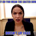 Alexandria Ocasio-Cortez | WTF DO YOU MEAN THE EASTER BUNNY; DOESN'T LAY EGGS | image tagged in alexandria ocasio-cortez | made w/ Imgflip meme maker