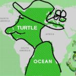 Turtle Ocean meme
