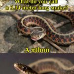 Snake Puns | What do you call a 3.14 meter long snake? A πthon | image tagged in snake puns | made w/ Imgflip meme maker