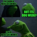 Evil Kermit Slap | YOU SHOULD MAKE CAT MEMES; BUT ITS DOG WEEK? I SAID MAKE CAT MEMES | image tagged in evil kermit slap,doggo week,dogs,kermit,evil kermit,cats | made w/ Imgflip meme maker