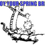 Calvin and Hobbes | ENJOY YOUR SPRING BREAK | image tagged in calvin and hobbes | made w/ Imgflip meme maker