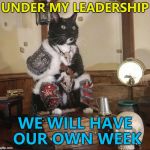 Catto week? :) | UNDER MY LEADERSHIP; WE WILL HAVE OUR OWN WEEK | image tagged in war lord cat,memes,doggo week,cats,animals | made w/ Imgflip meme maker