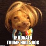 phteven dog | IF DONALD TRUMP HAD A DOG | image tagged in phteven dog | made w/ Imgflip meme maker