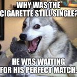 Pun Dog Punchline | WHY WAS THE CIGARETTE STILL SINGLE? HE WAS WAITING FOR HIS PERFECT MATCH. | image tagged in pun dog punchline | made w/ Imgflip meme maker