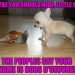 Heads up, little friend: Doggo Week March 10-16 a Blaze_the_Blaziken and 1forpeace Event | MAYBE YOU SHOULD HIDE, LITTLE GUY; THE PEOPLES SAY YOUR NAME IS HORS D'OEUVRE! | image tagged in snail  pup,doggo week,cute puppies | made w/ Imgflip meme maker