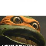 Cowabunga it is (Blank) meme