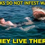 Spring Break - A Word To The Wise | SHARKS DO NOT INFEST WATERS; THEY LIVE THERE! | image tagged in swimming with sharks,spring break,dangerous | made w/ Imgflip meme maker