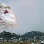 Screaming Cowboy Cat meme