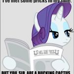 Rarity Unicorn | I've met some pricks in my time, BUT YOU, SIR, ARE A BUCKING CACTUS. | image tagged in rarity unicorn | made w/ Imgflip meme maker