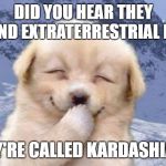 Well, I never said they were intelligent... | DID YOU HEAR THEY FOUND EXTRATERRESTRIAL LIFE? THEY'RE CALLED KARDASHIANS! | image tagged in laughing dog,kardashians,aliens,extraterrestrial | made w/ Imgflip meme maker