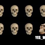 Skulls of truth | YES_WHAT | image tagged in skulls of truth | made w/ Imgflip meme maker