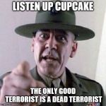 drill sergant | LISTEN UP CUPCAKE; THE ONLY GOOD TERRORIST IS A DEAD TERRORIST | image tagged in drill sergant | made w/ Imgflip meme maker