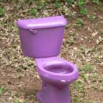Purple toilet