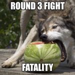 Watermelon Wolf | ROUND 3 FIGHT; FATALITY | image tagged in watermelon wolf | made w/ Imgflip meme maker