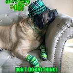 Happy St. Patrick's Day!! | DON'T DO ANYTHING I WOULDN'T DO!  IF YOU DO, BE SURE TO LIVE AND TELL ABOUT IT! | image tagged in st patrick's day,dog,funny dog,hangover,mastif,drunk | made w/ Imgflip meme maker