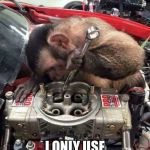 Monkey mechanic | I DON’T LET JUST ANYBODY MONKEY WITH MY CARB; I ONLY USE A PROFESSIONAL! | image tagged in monkey mechanic | made w/ Imgflip meme maker