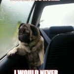 Introspective Pug | WHAT DO THEY MEAN "DOG EAT DOG WORLD"; I WOULD NEVER EAT ANOTHER DOG | image tagged in introspective pug | made w/ Imgflip meme maker