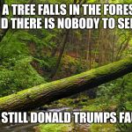 Fallen tree in forest | IF A TREE FALLS IN THE FOREST AND THERE IS NOBODY TO SEE IT; IS IT STILL DONALD TRUMPS FAULT? | image tagged in fallen tree in forest | made w/ Imgflip meme maker