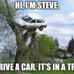 car tree fail | HI, I'M STEVE. I DRIVE A CAR. IT'S IN A TREE. | image tagged in car tree fail | made w/ Imgflip meme maker