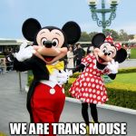 Mickey and Minnie Mouse | WE ARE TRANS MOUSE | image tagged in mickey and minnie mouse | made w/ Imgflip meme maker