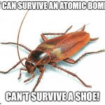 Cockroach | IT CAN SURVIVE AN ATOMIC BOMB! CAN'T SURVIVE A SHOE! | image tagged in cockroach | made w/ Imgflip meme maker