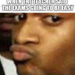 doubtful lips  | WHEN THE TEACHER SAID THE EXAMS GOING TO BE EASY | image tagged in doubtful lips | made w/ Imgflip meme maker