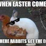 Easter eggs | WHEN EASTER COMES; THIS IS WHERE RABBITS GET THE EGGS FROM | image tagged in easter eggs | made w/ Imgflip meme maker